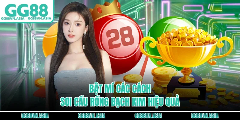 Bật mí các cách soi cầu rồng bạch kim hiệu quả