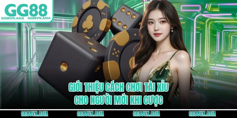 Giới thiệu Cách chơi tài xỉu cho người mới khi cược