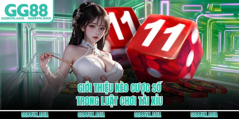 Giới thiệu kèo cược số trong luật chơi tài xỉu