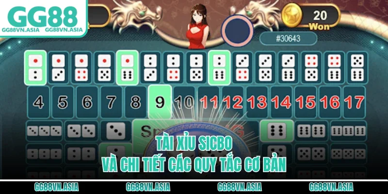 Tài xỉu sicbo và chi tiết các quy tắc cơ bản