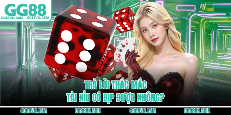 Trả lời thắc mắc tài xỉu có bịp được không?